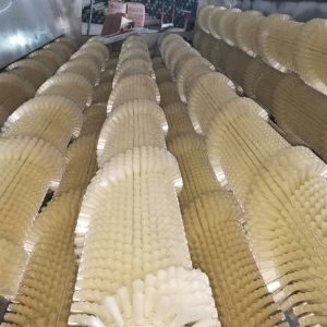 白萝卜KAIYUN.COM·开云「中国」官方网站机