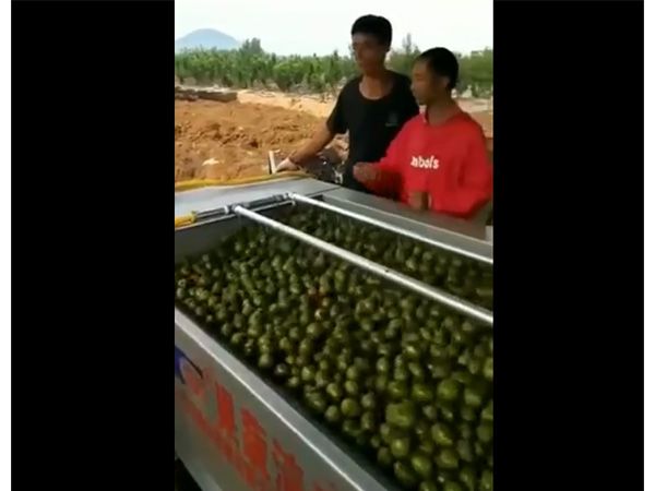 核桃去皮KAIYUN.COM·开云「中国」官方网站一体机视频