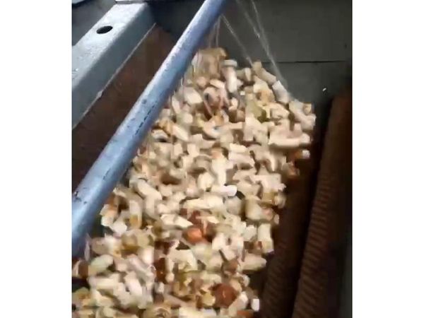 松茸KAIYUN.COM·开云「中国」官方网站机视频