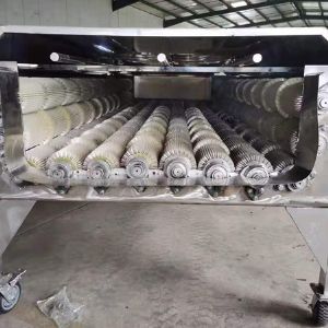 大型果蔬KAIYUN.COM·开云「中国」官方网站机