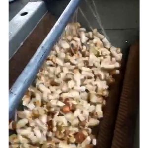 松茸KAIYUN.COM·开云「中国」官方网站机视频