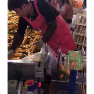 胡萝卜KAIYUN.COM·开云「中国」官方网站机视频