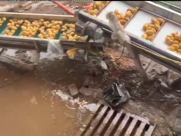 土豆KAIYUN.COM·开云「中国」官方网站机视频