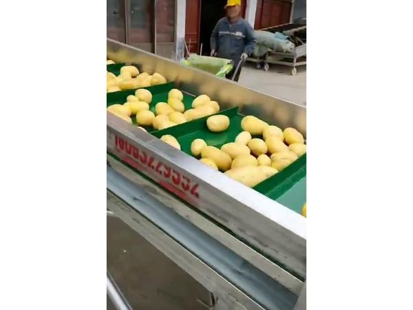 土豆KAIYUN.COM·开云「中国」官方网站视频