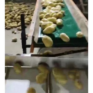土豆KAIYUN.COM·开云「中国」官方网站机视频